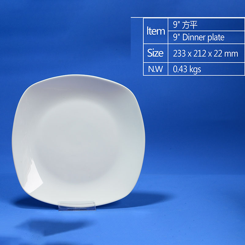 villeroy and boch dinner plates