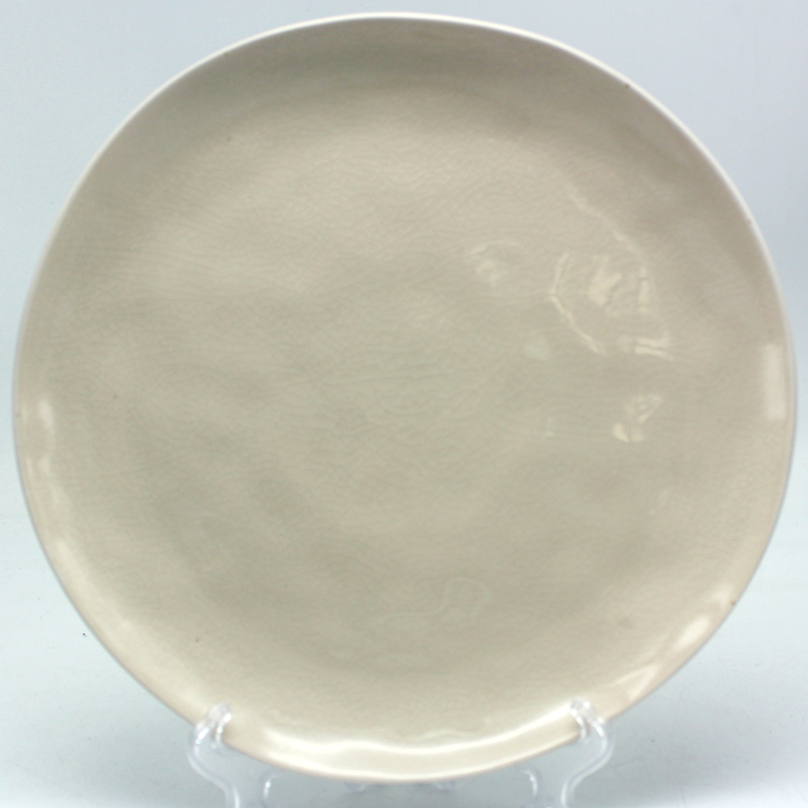 reactive dinner plate